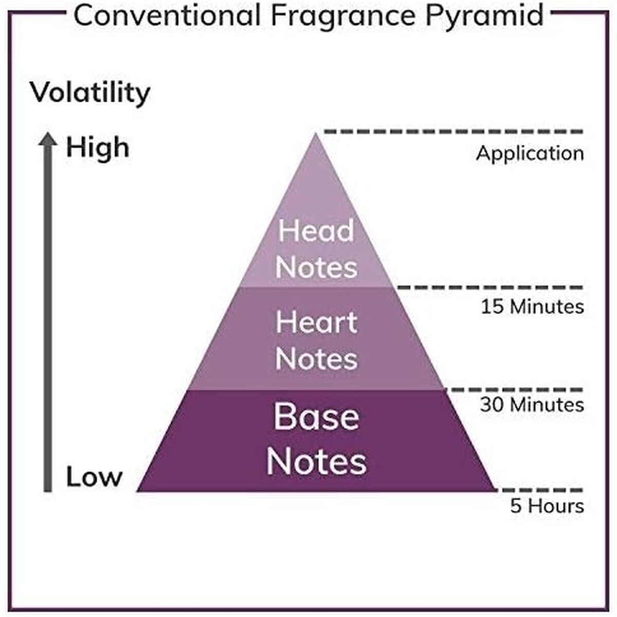 Men's Perfume YSL La Nuit de L'Homme Le Parfum EDP 100 ml